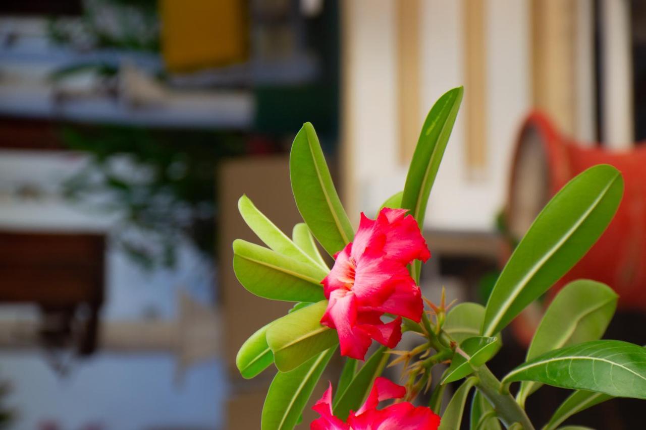 Pousada Tropicalia 카노아 케브라다 외부 사진